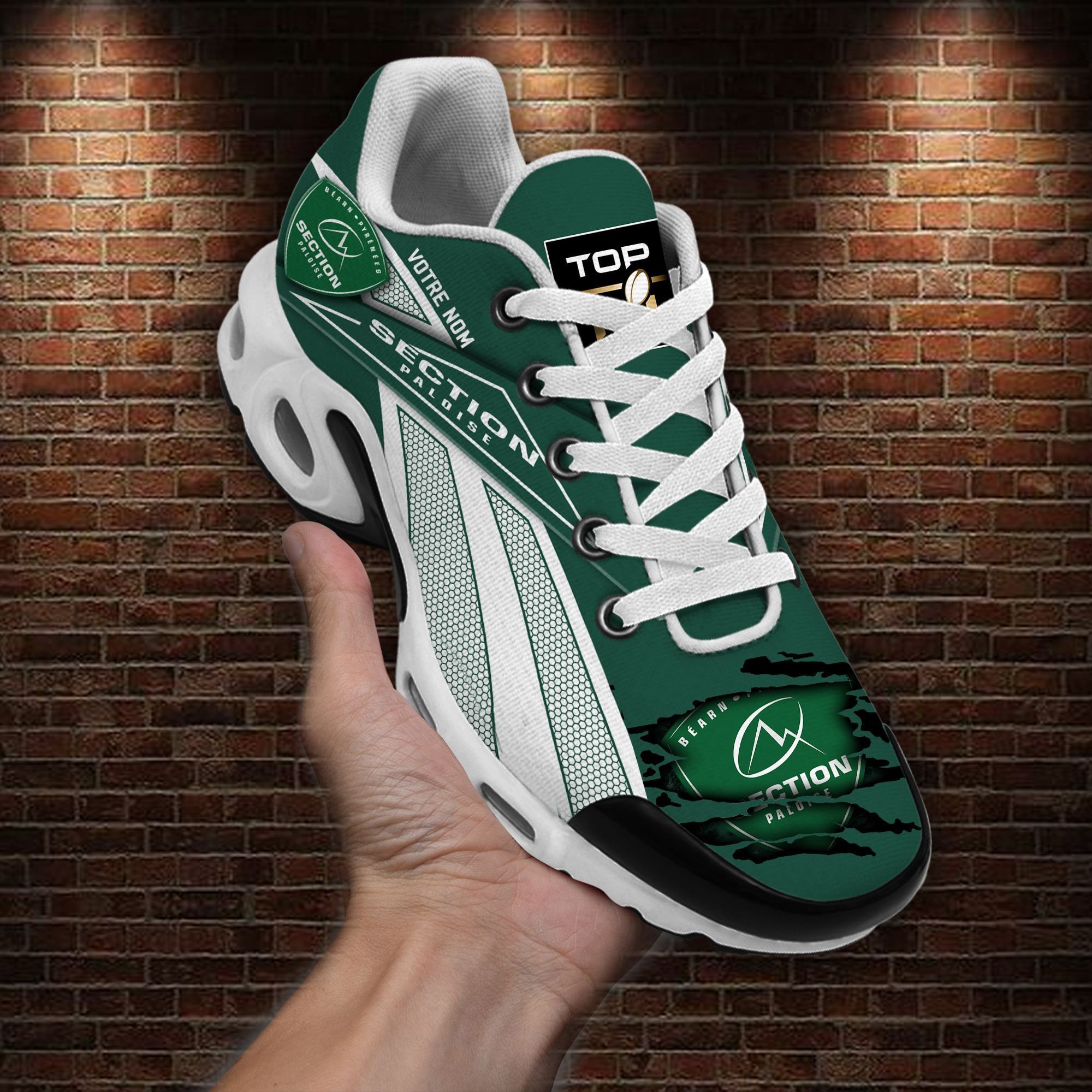 Section Paloise Air Max Plus Shoes Sneakers For Men And Women